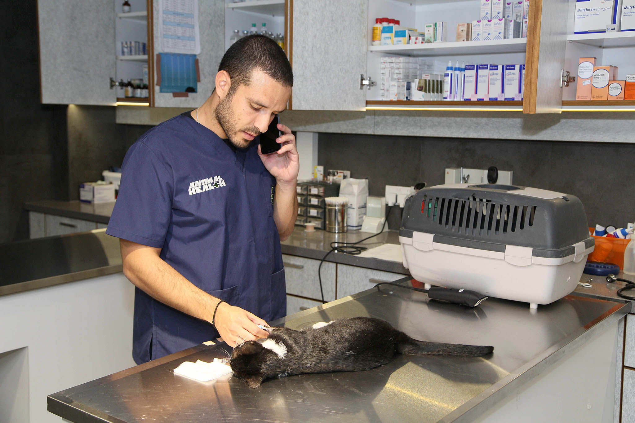 Animal Health – veterinary clinic in Cyprus | Cyprus inform
